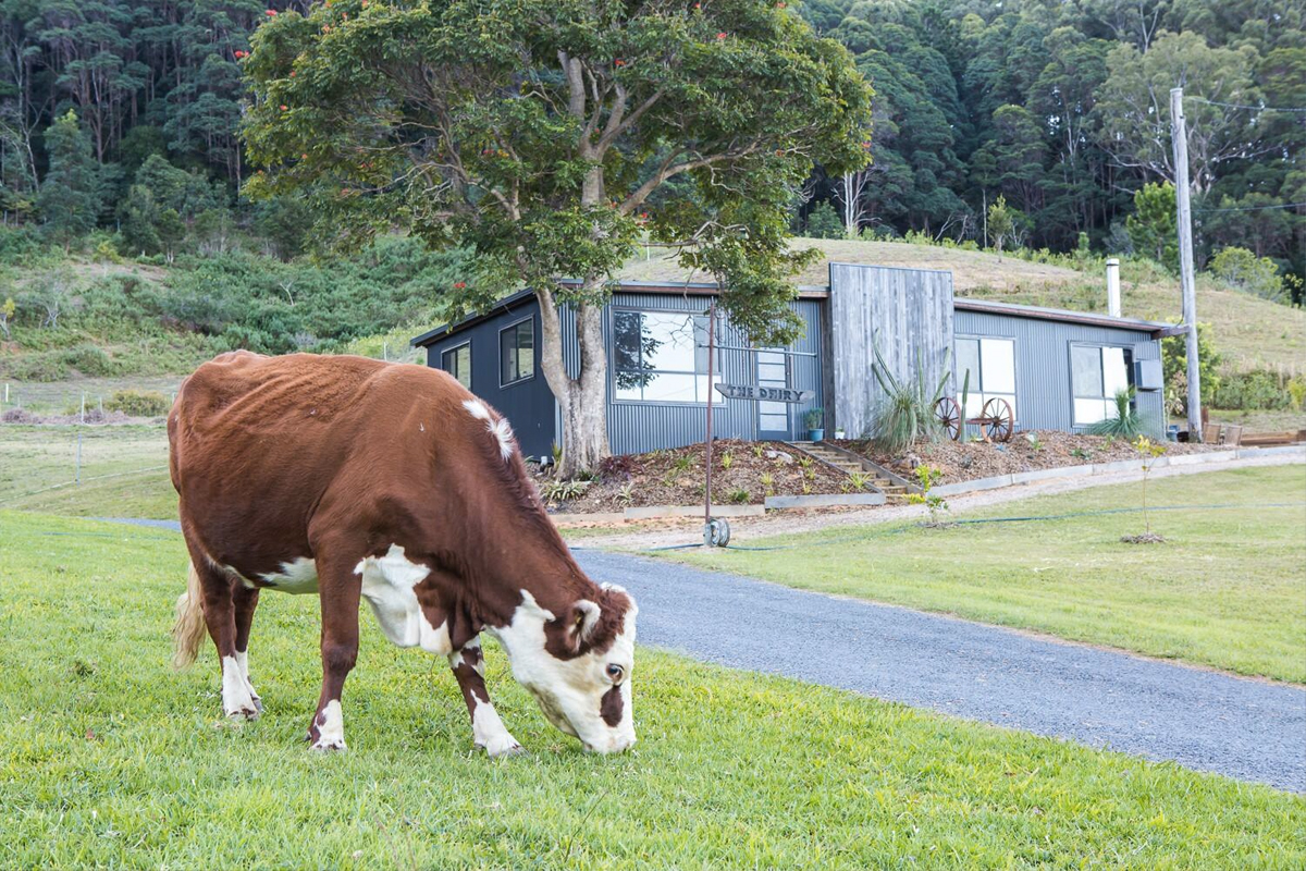 Stay the Night or Stay Forever on the Tweed Coast