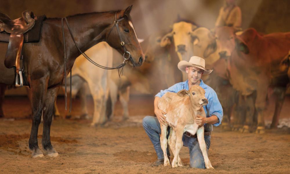 The Australian Outback Spectacular