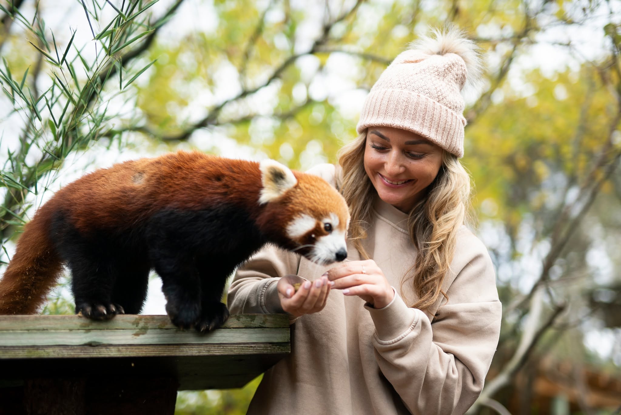 Family visiting Symbio Wildlife Park during school holidays
