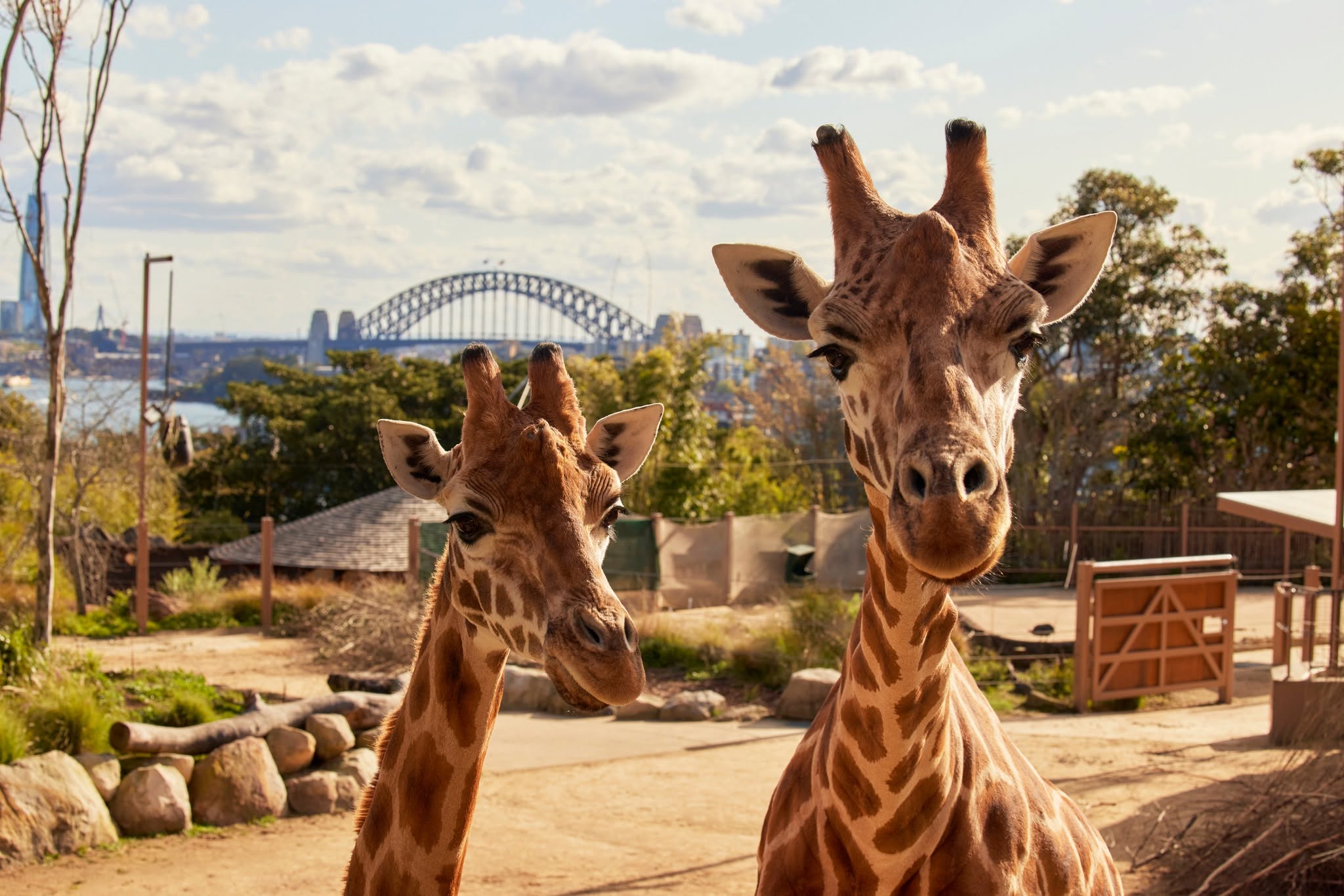 Children visiting Taronga Zoo Sydney during school holidays
