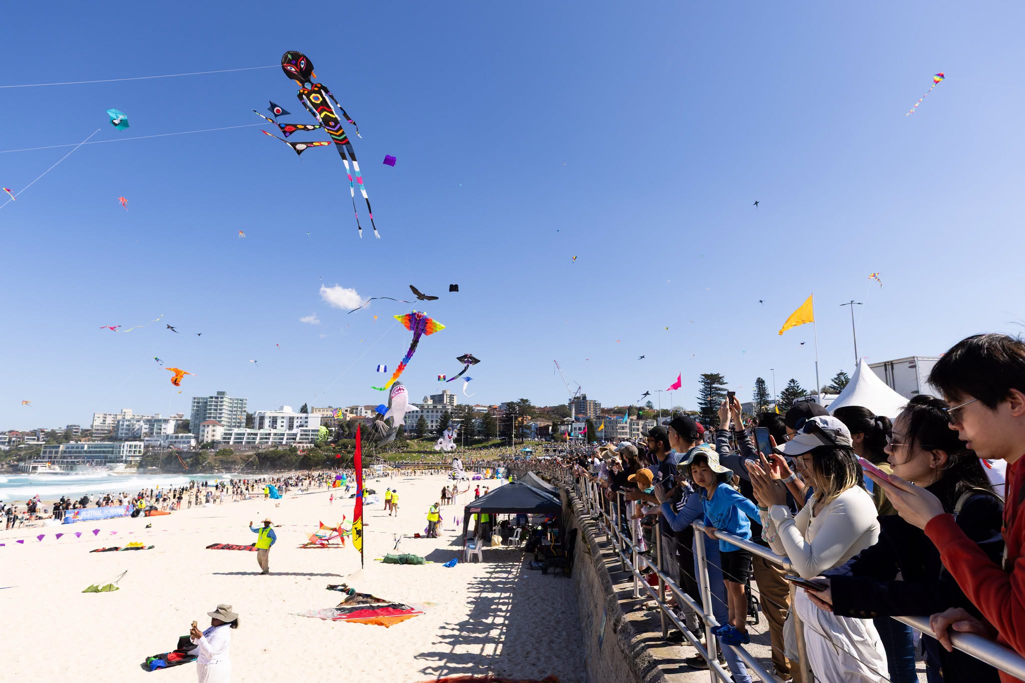 Festival of the Winds celebrations at Bondi Beach