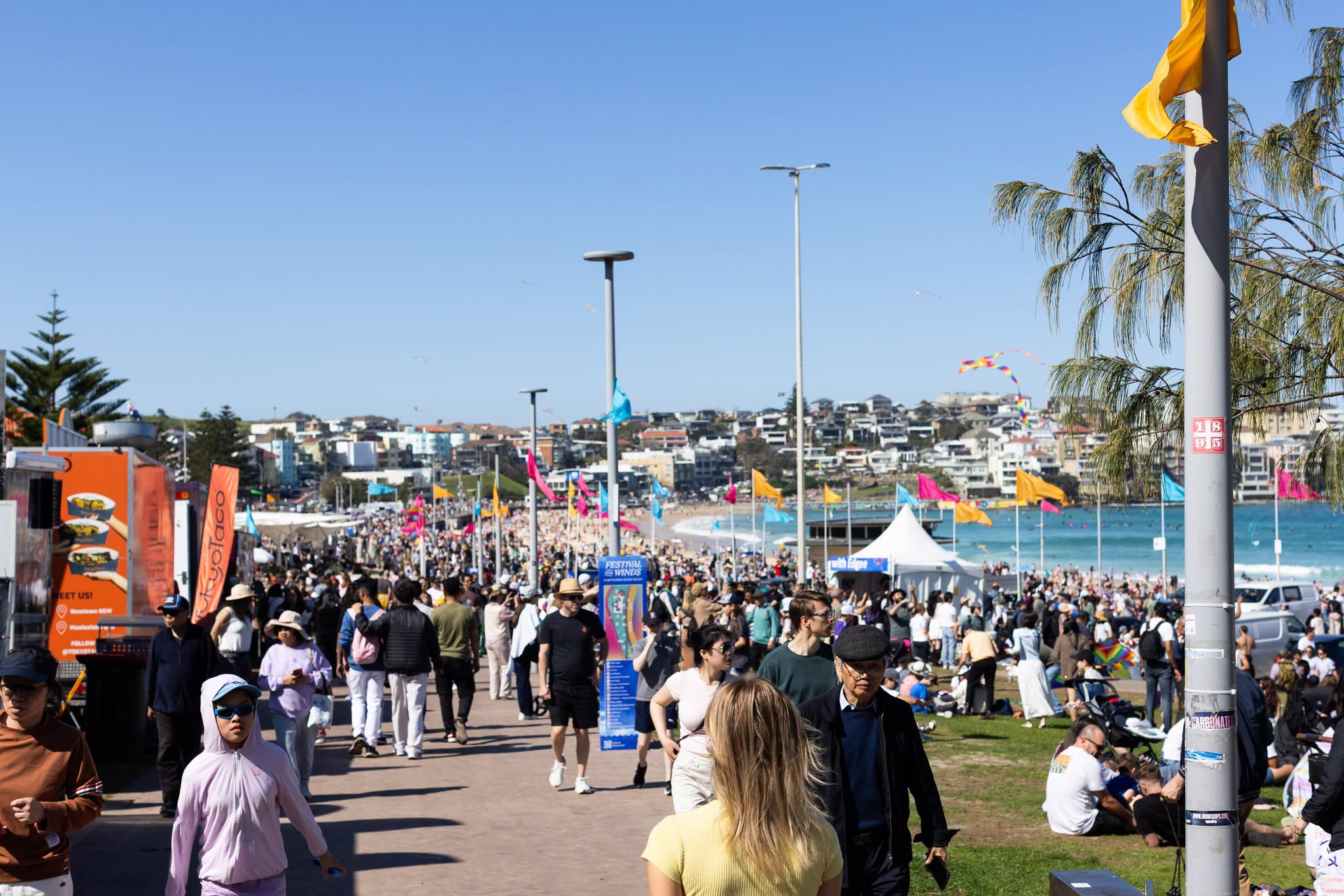 Giant kites flying above Bondi Beach during Festival of the Winds