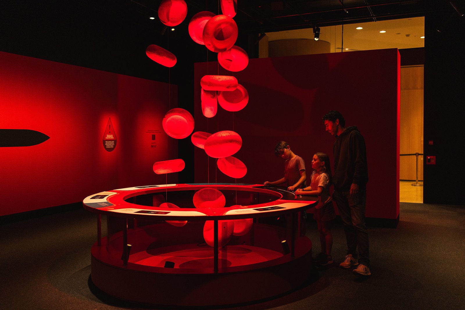 Bloodsuckers at the Australian Museum