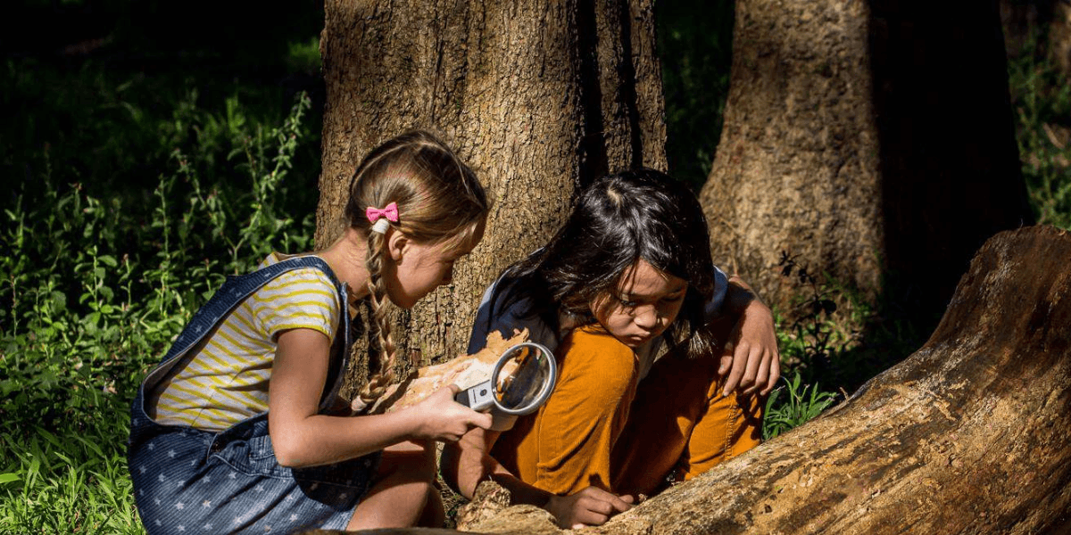 Bushrangers Treasure Hunters
