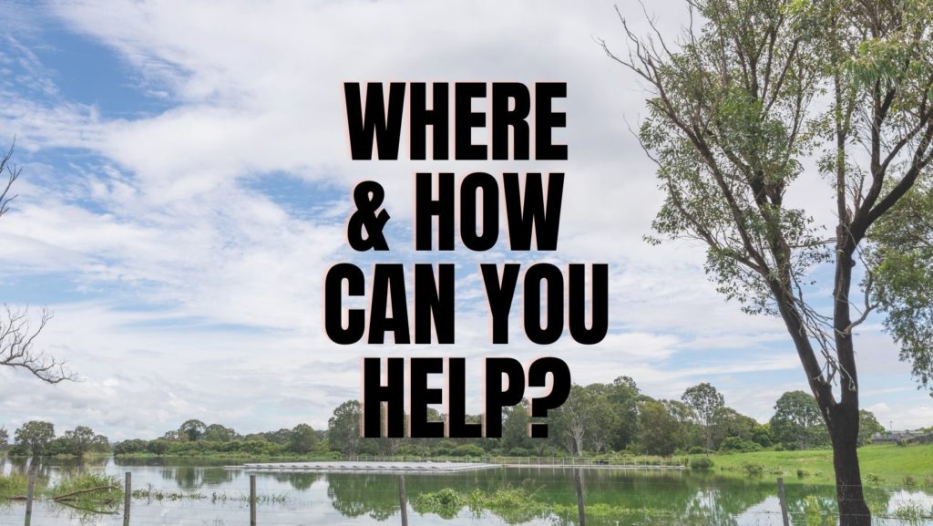 Where can you help those affected by the 2022 Northern NSW floods