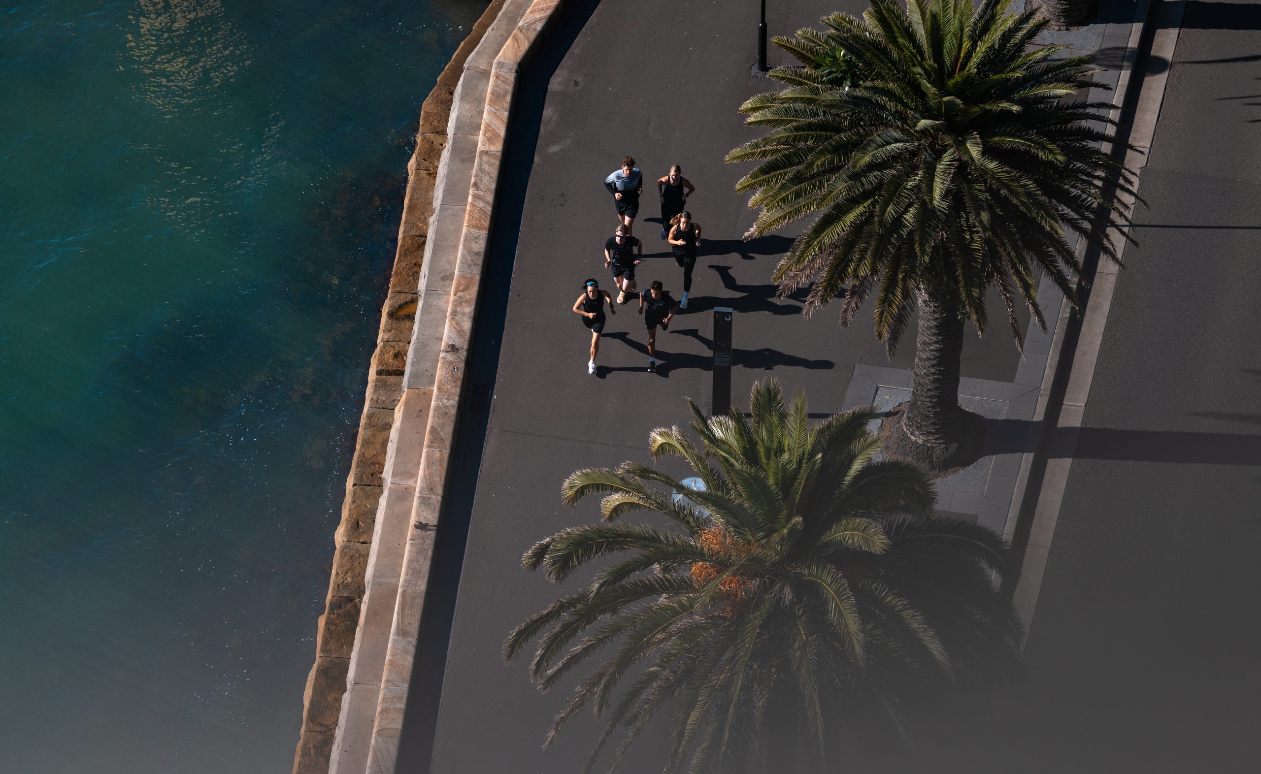 Eastern Suburbs Runners, This Is Your Next Big Race