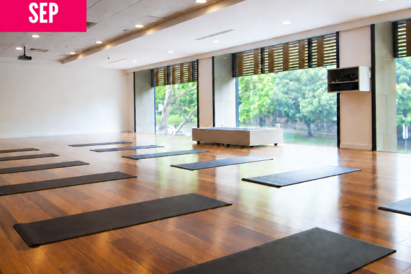 Stretch, Roll and Reset: A Yin Yoga Masterclass in Paddington