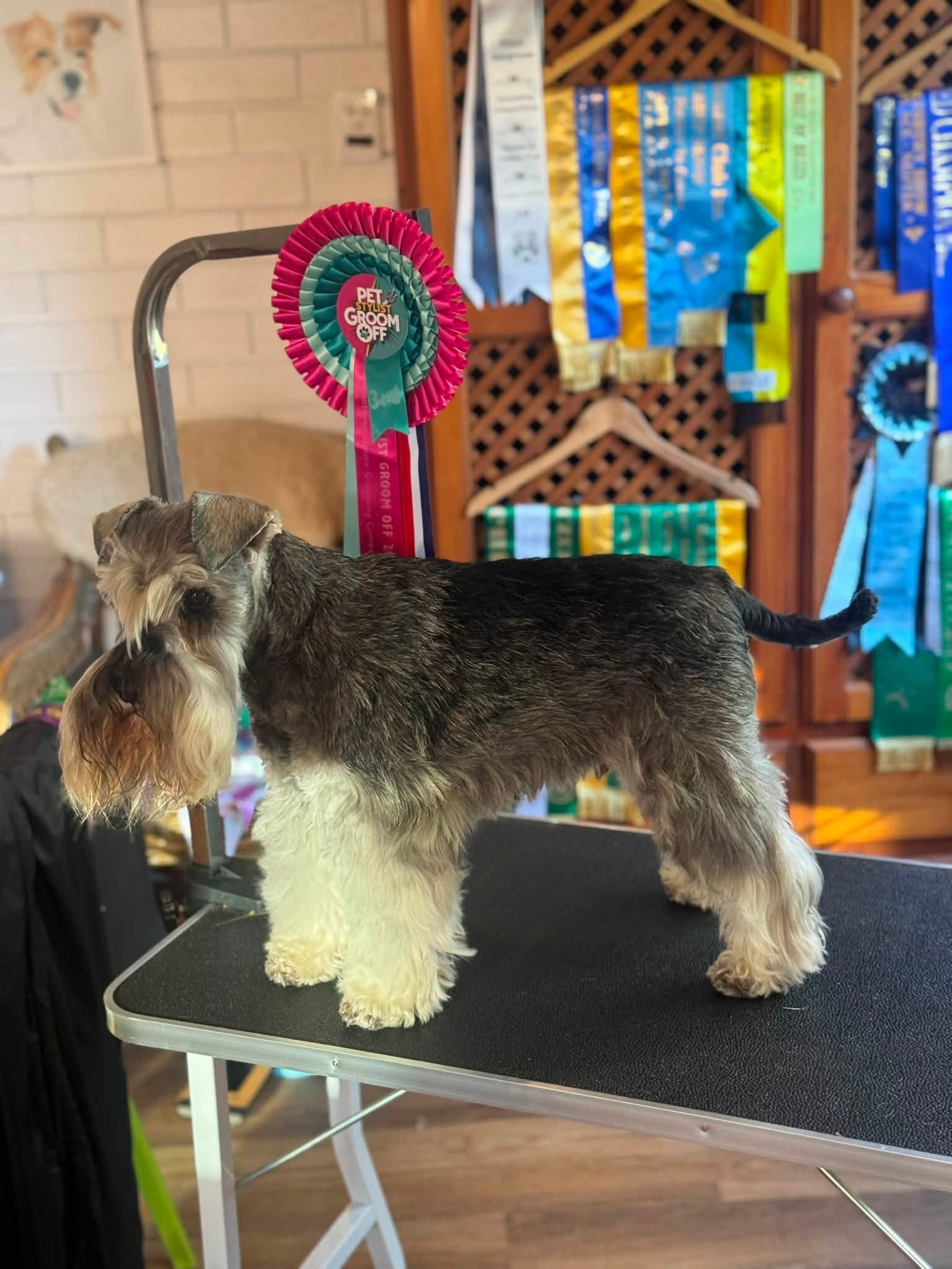 Sublime Canine Randwick