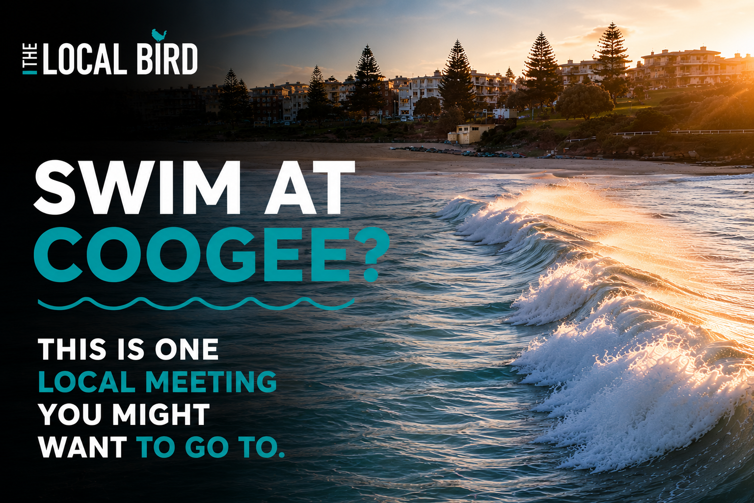 Coogee Locals Invited to Hear What’s Being Done About Shark Safety Before Summer