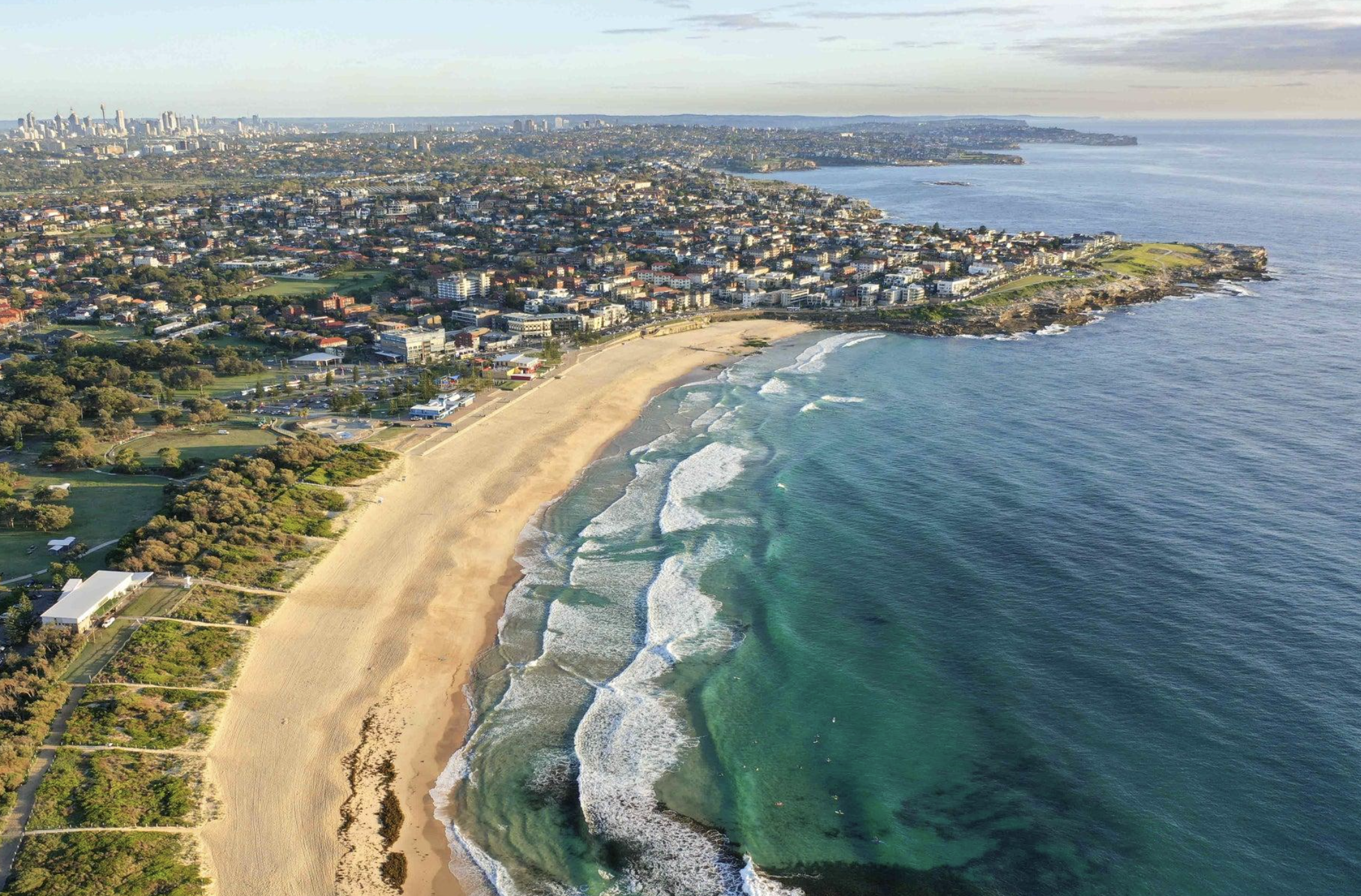 Shark Safety Is Changing Across Sydney Beaches: What Locals Need to Know